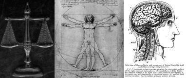 Accredited Forensic Psychiatry and Medicine